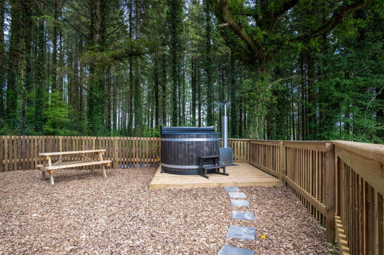 Cabin In The Woods - 1 Bedroom Lodge - Kilgetty Stepaside  Eksteriør bilde