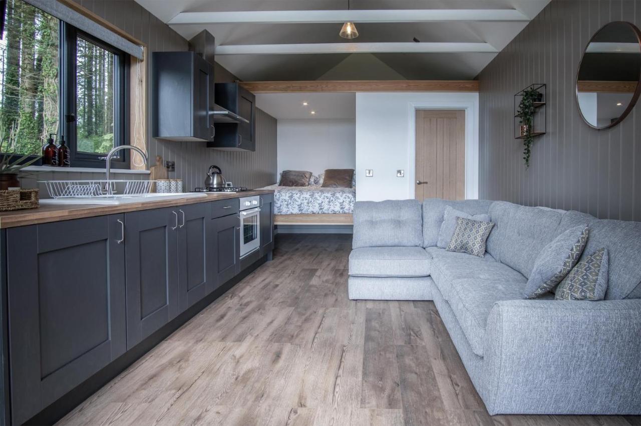 Cabin In The Woods - 1 Bedroom Lodge - Kilgetty Stepaside  Eksteriør bilde