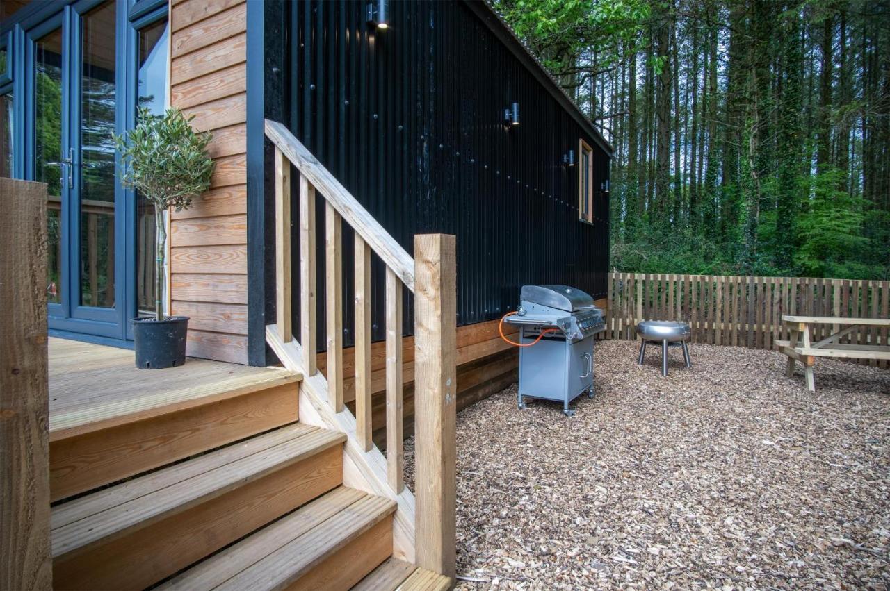 Cabin In The Woods - 1 Bedroom Lodge - Kilgetty Stepaside  Eksteriør bilde